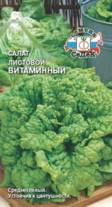 Салат Витаминный листовой купить