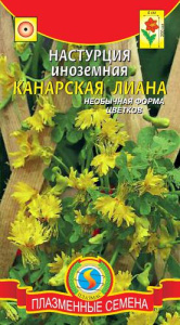 Настурция иноземная Канарская лиана  купить