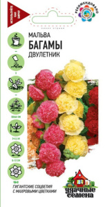 Мальва Багамы смесь  купить