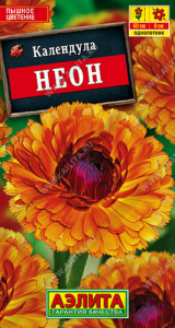 Календула Неон  купить