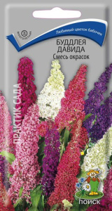 Буддлея Давида Смесь окрасок купить