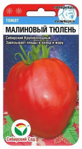 Томат Малиновый тюлень  купить