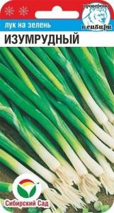 Лук Изумрудный, на зелень купить