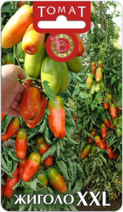 Томат Жиголо XXL  купить