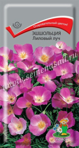 Эшшольция Лиловый луч купить
