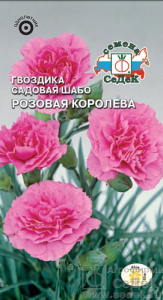 Гвоздика шабо Розовая Королева  купить
