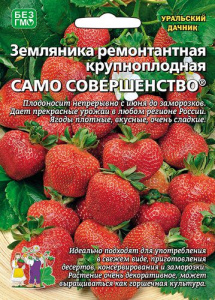 Земляника Само совершенство ремонтантная  купить