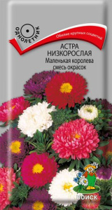 Астра Маленькая королева смесь окрасок низкорослая купить
