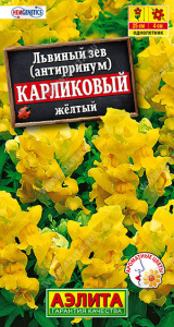 Львиный зев карликовый желтый купить