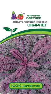 Капуста (листовая) Скарлет кудрявая   купить