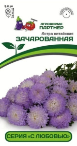 Астра китайская Зачарованная купить