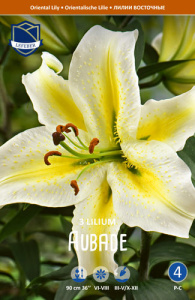 Лилия восточная Aubade /3шт купить