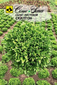 Салат Скилтон листовой  купить