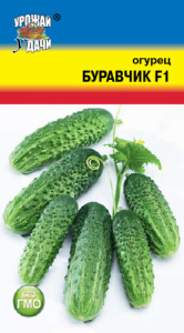 Огурец Буравчик F1  купить