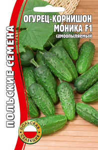 Огурец Моника (самоопыляемый. польская сел.)  купить