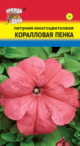Петуния Коралловая пенка  купить
