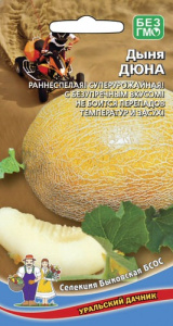 Дыня Дюна  купить