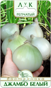Лук (репчатый) Джамбо Белый  купить