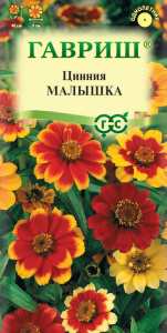 Цинния Малышка карликовая купить