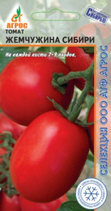 Томат Жемчужина Сибири  купить