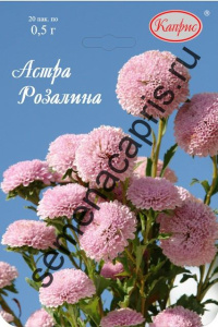 Астра Помпонная розовая Розалина/1шт купить