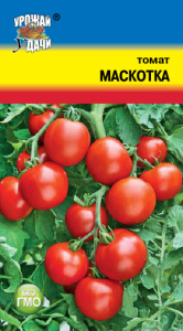 Томат Маскотка купить
