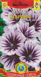 Мальва Зебрина  купить