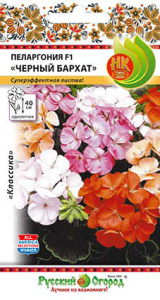 Пеларгония Черный Бархат, смесь купить