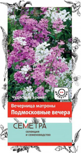 Вечерница Матроны Подмосковные вечера купить