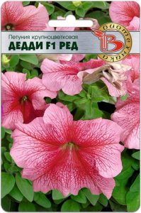 Петуния Дедди F1 Ред крупноцв. купить
