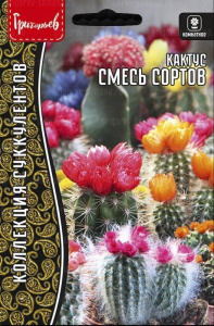 Кактус Смесь Сортов  купить