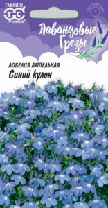 Лобелия Синий кулон Лавандовые грезы купить