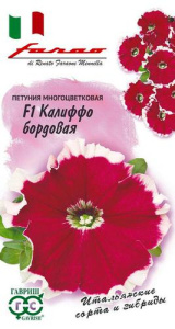 Петуния Калиффо F1 бордовая многоцв. купить