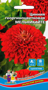 Цинния Мельникайте георгиноцветковая (УД)  купить