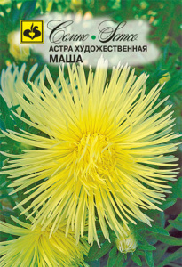Астра художественная Маша  купить
