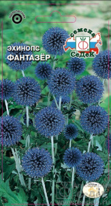 Эхинопс Фантазер  купить