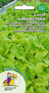 Салат Карамелька  купить