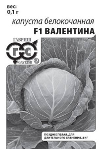 Капуста Валентина F1 для хранения б/п  купить