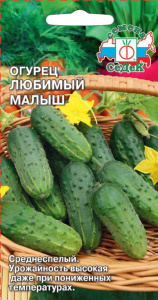 Огурец Любимый малыш  купить