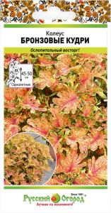 Колеус Бронзовые кудри купить