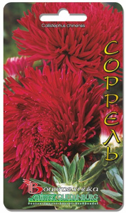 Астра Дракон Соррель 70 шт купить