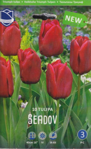 Тюльпан триумф "Seadov" (1х10шт) купить