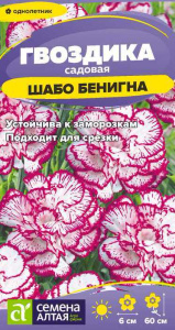Гвоздика Шабо Бенигна cадовая купить