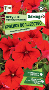 Петуния Красное волшебство купить