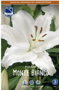 Лилия восточная Monte Bianco /3шт купить