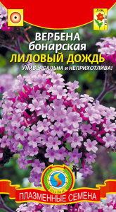 Вербена Бонарская Лиловый дождь  купить