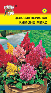 Целозия Кимоно микс перистая   купить