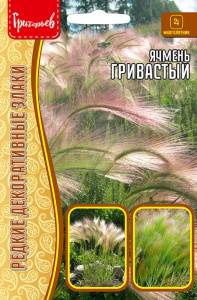 Ячмень гривастый (Hordeum jubatum) купить
