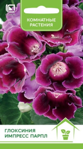 Глоксиния Импресс Парпл купить