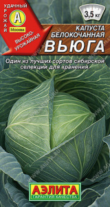 Капуста Вьюга купить